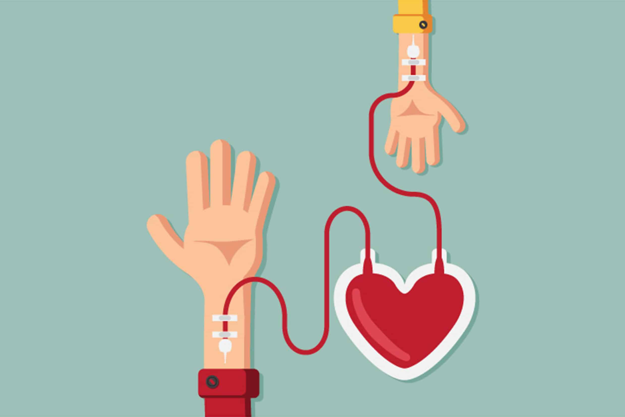 Doação de sangue: um gesto simples que salva vidas - Blog Viva+ | O seu  portal para cuidar melhor da saúde, do bem-estar da família e ficar por  dentro das novidades do